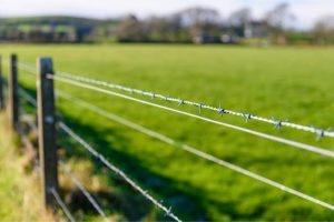 Reliable Fencing in Buford, GA Professional Fencing in Buford, GA