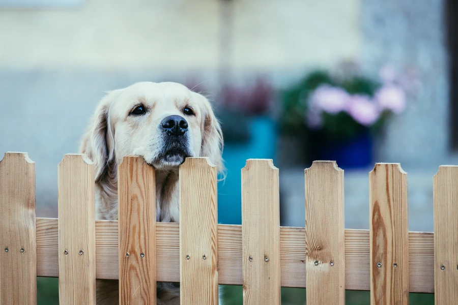 Premium Wood Fence Installation Buford GA Premium Wood Fence Installation Buford GA